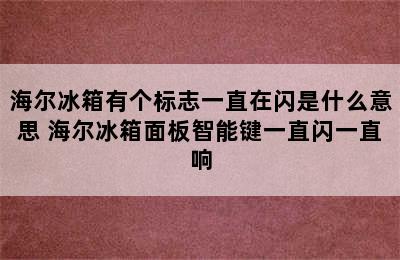 海尔冰箱有个标志一直在闪是什么意思 海尔冰箱面板智能键一直闪一直响